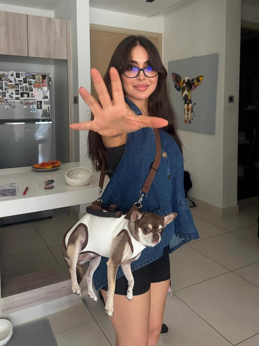 Pet Travel Crossbody Carrier