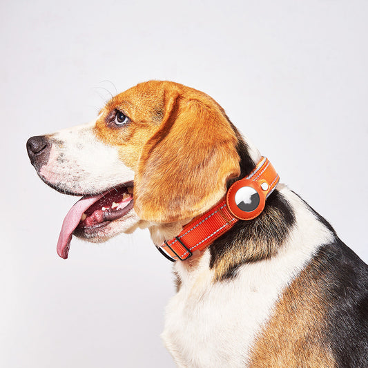 AirTag-Compatible Nylon Pet Collar with Built‑In Holder